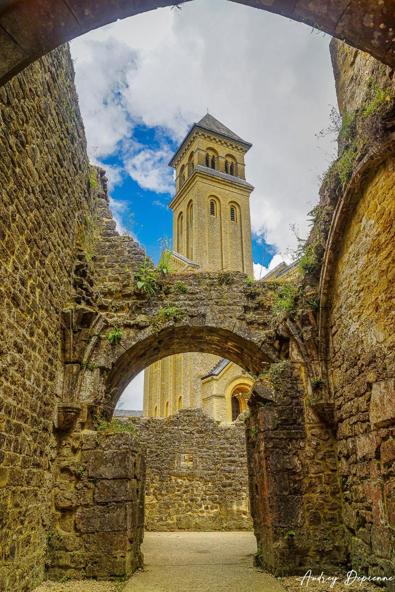 Abbaye d'OrvalOrval16住宿加早餐旅馆 外观 照片